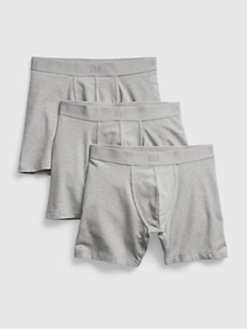 5" Boxer Briefs (3-Pack)